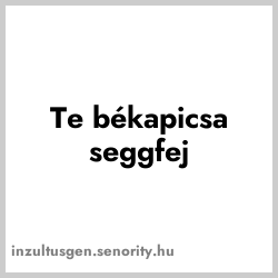 Inzultus kép